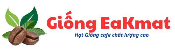 Giống Cà Phê Viện EaKmat